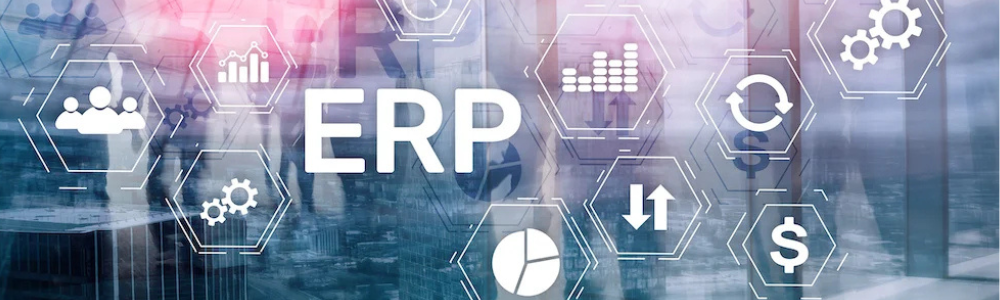 ERP Implementation and Integration